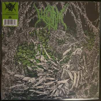 LP Worm: Gloomlord LTD | CLR