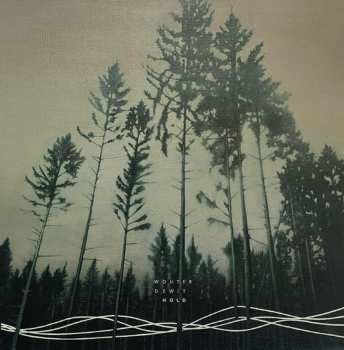 Album Wouter Dewit: Hold