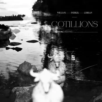 WPC: Cotillions