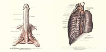 2CD :wumpscut:: Preferential Tribe