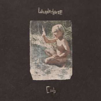 Album Wunderhorse: Cub
