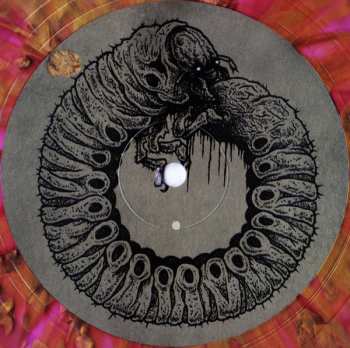 LP Wvrm: Colony Collapse CLR | LTD