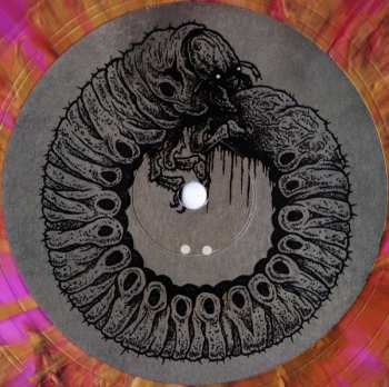 LP Wvrm: Colony Collapse CLR | LTD