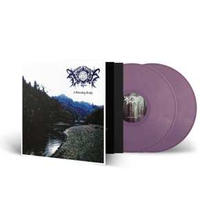 2LP Nocturnal Poisoning: A Misleading Reality CLR | LTD