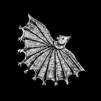 LP Xiu Xiu: Ignore Grief CLR