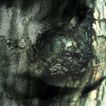 CD Yann Tiersen: La Valse Des Monstres
