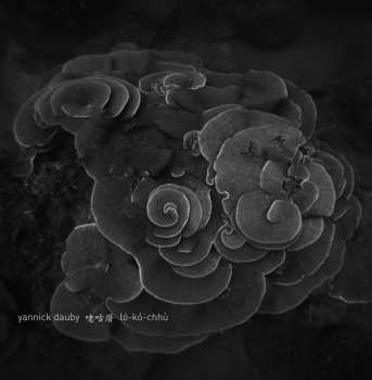 Album Yannick Dauby: Penghu Experimental Sound Studio Vol.2