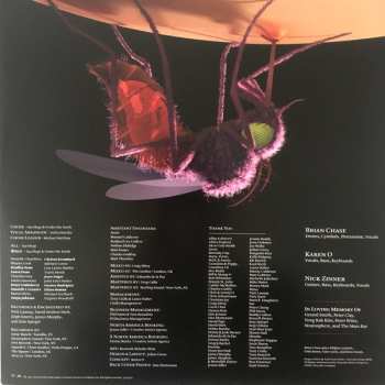 LP Yeah Yeah Yeahs: Mosquito