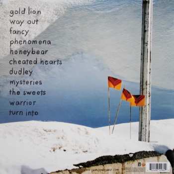LP Yeah Yeah Yeahs: Show Your Bones