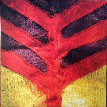 LP Yeah Yeah Yeahs: Show Your Bones