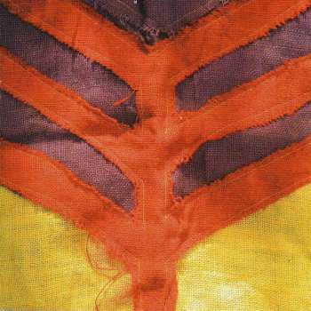 Album Yeah Yeah Yeahs: Show Your Bones