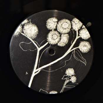 LP/CD YM: Lorenzovi Hoši