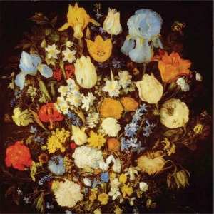 Album Young Moon: Navigated Like The Swan