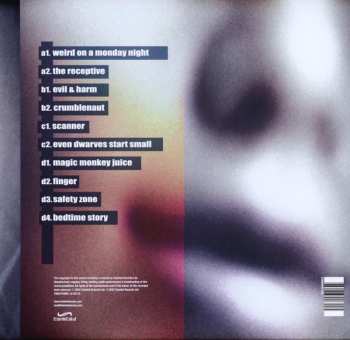 2LP Younger Brother: A Flock Of Bleeps
