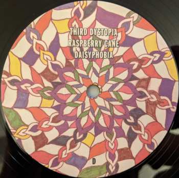 2LP Youth Lagoon: Wondrous Bughouse