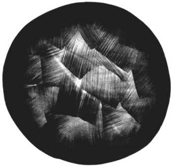 Album Yuko Araki: End Of Trilogy