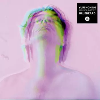Yuri Honing Acoustic Quartet: Bluebeard