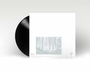 LP Zachary Hay: Zachary Hay LTD