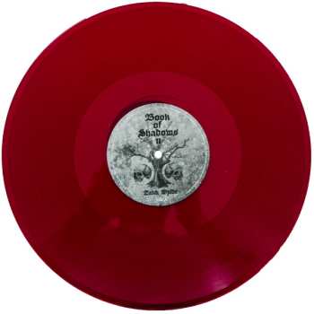 2LP Zakk Wylde: Book Of Shadows II