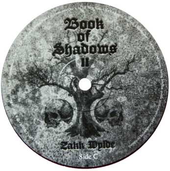 2LP Zakk Wylde: Book Of Shadows II