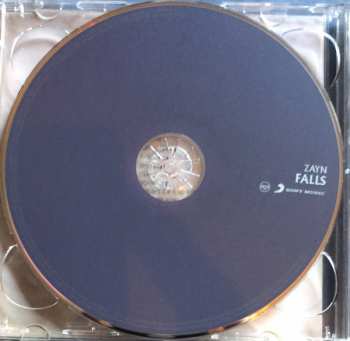 2CD ZAYN: Icarus Falls
