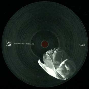 LP Zeitgeber: Body Out Body In