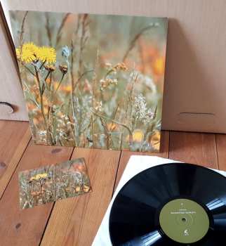 LP Zeitkratzer: Scarlatti LTD