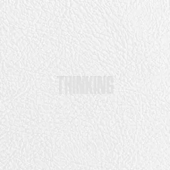 Zico: Thinking